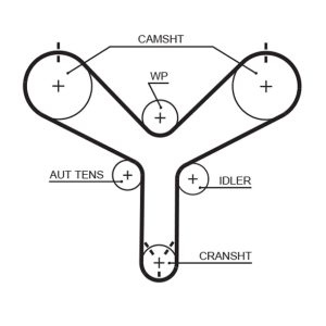 Curea de distributie TOYOTA LAND CRUISER 100 (_J1_) 4.7 (UZJ100) benzina 238 cai GATES T298