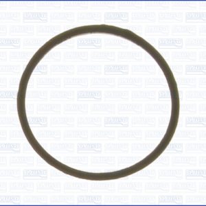 Garnitura termostat VOLVO FL10 FL 10/280 diesel 275 cai AJUSA 00538300