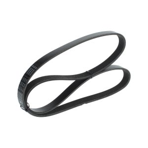 Curea transmisie cu caneluri VOLVO C30 (533) 1.8 benzina 125 cai BOSCH 1 987 946 173