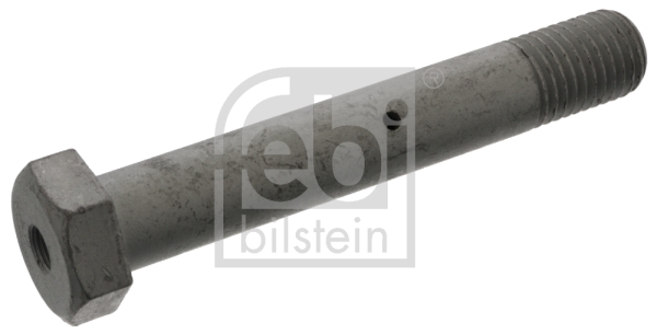 Bolt arc VOLVO FL6 FL 621 diesel 230 cai FEBI BILSTEIN 48393