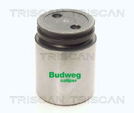 Piston etrier frana VOLVO C30 (533) D3 diesel 150 cai TRISCAN 8170 233842
