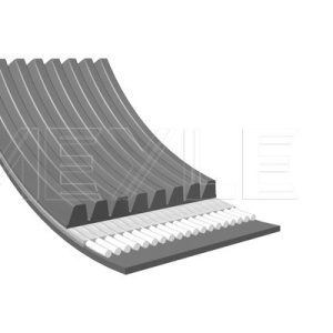 Curea transmisie cu caneluri VOLVO FL10 FL 10/350 diesel 349 cai MEYLE 050 008 1230