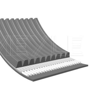 Curea transmisie cu caneluri VOLVO FM II FM 500 diesel 500 cai MEYLE 050 010 1466