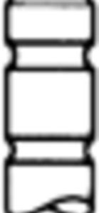 Supapa admisie VOLVO FL6 FL 619 diesel 209 cai TRW ENGINE COMPONENT 48114