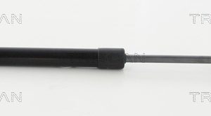 Amortizor portbagaj VW GOLF VI Cabriolet (517) 2.0 R benzina 265 cai TRISCAN 8710 292035