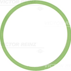 Garnitura galerie admisie VW GOLF VI Variant (AJ5) 1.2 TSI benzina 86 cai VICTOR REINZ 71-40531-00