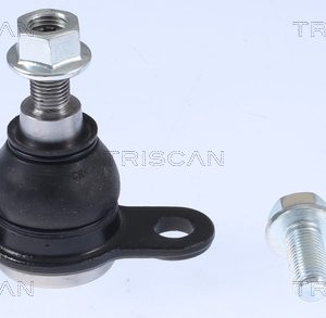 Pivot VW CRAFTER platou / sasiu (SZ_) 2.0 TDI 4motion diesel 140 cai TRISCAN 8500 295226