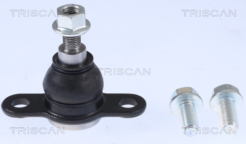 Pivot VW CRAFTER platou / sasiu (SZ_) 2.0 TDI diesel 102 cai TRISCAN 8500 295226