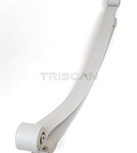 Pachet arc cu foi VW CRAFTER 30-50 caroserie (2E_) 2.5 TDI diesel 136 cai TRISCAN 8765 23018