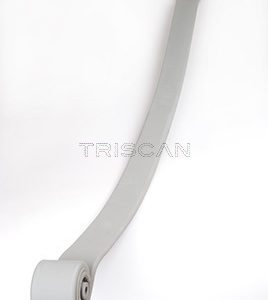 Pachet arc cu foi VW CRAFTER 30-50 caroserie (2E_) 2.5 TDI diesel 136 cai TRISCAN 8765 23019