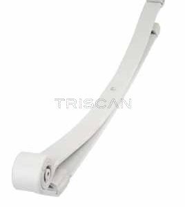 Pachet arc cu foi VW CRAFTER 30-50 platou / sasiu (2F_) 2.5 TDI diesel 163 cai TRISCAN 8765 23025