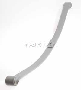 Pachet arc cu foi VW CADDY IV microbus (SAB, SAJ) 1.0 TSI benzina 84 cai TRISCAN 8765 29020