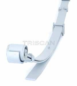 Pachet arc cu foi VW AMAROK (2HA, 2HB, S1B, S6B, S7A, S7B) 2.0 BiTDI 4motion diesel 163 cai TRISCAN 8765 29021