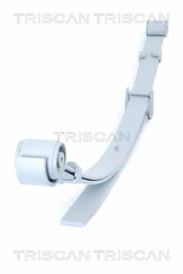 Pachet arc cu foi VW AMAROK (2HA, 2HB, S1B, S6B, S7A, S7B) 2.0 TDI 4motion diesel 140 cai TRISCAN 8765 29021