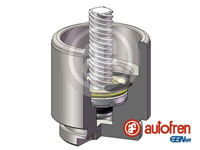 Piston etrier frana VW CRAFTER platou / sasiu (SZ_) 2.0 TDI diesel 177 cai AUTOFREN SEINSA D025641LK