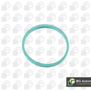 Garnitura galerie admisie VW GOLF VI Variant (AJ5) 1.4 benzina 80 cai BGA RW4353