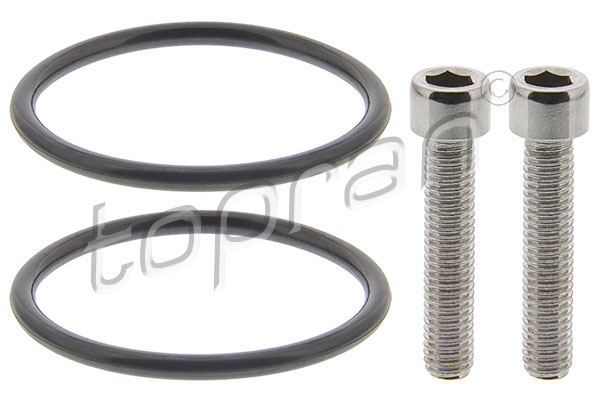 Set reparat pompa cuplaj lamelar (tractiune integr.) VW GOLF VI (5K1) 2.0 R 4motion benzina 256 cai TOPRAN 120 165