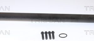 Set rulment roata VW CRAFTER 30-50 platou / sasiu (2F_) 2.0 TDI diesel 136 cai TRISCAN 8530 23236