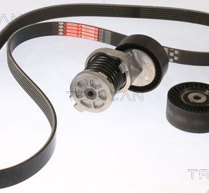 Set curea transmisie cu caneluri VW AMAROK platou / sasiu (S1B, S6B, S7B) 2.0 BiTDI 4motion diesel 180 cai TRISCAN 8642 29040