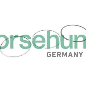 Set segmenti piston VW GOLF VII (5G1, BQ1, BE1, BE2) 2.0 R 4motion benzina 290 cai BORSEHUNG B10368