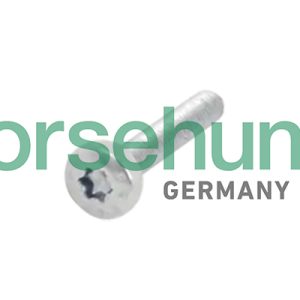 Surub roata dintata-ax cu came VW GOLF SPORTSVAN VII (AM1, AN1) 1.4 TSI benzina 125 cai BORSEHUNG B10634