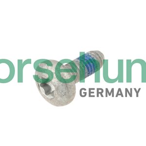 Surub blocare reglaj distributie VW GOLF VI Cabriolet (517) 2.0 TDI diesel 140 cai BORSEHUNG B10646