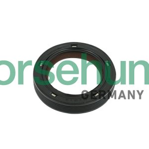 Simering ax cu came VW GOLF VI Van (5K1_) 1.2 TSi benzina 86 cai BORSEHUNG B18729