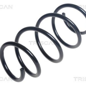 Arc spiral VW GOLF SPORTSVAN VII (AM1, AN1) 1.6 TDI diesel 110 cai TRISCAN 8750 29432