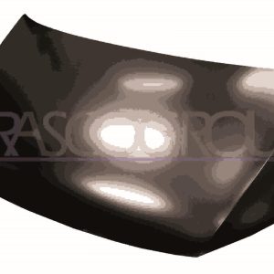 Capota motor VW CADDY IV microbus (SAB, SAJ) 2.0 TDI diesel 102 cai PRASCO VG9073100