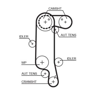 Curea de distributie VW GOLF VI Variant (AJ5) 1.4 benzina 80 cai GATES 5565XS