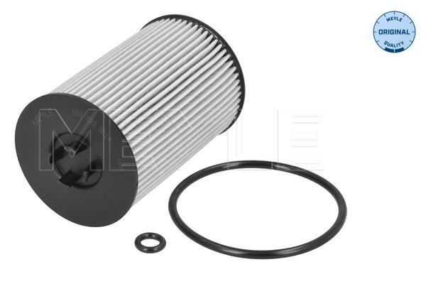 Filtru ulei VW CADDY ALLTRACK Autoutilitara/limuzina spatioasa (SAA) 2.0 TDI diesel 102 cai MEYLE 100 322 0019