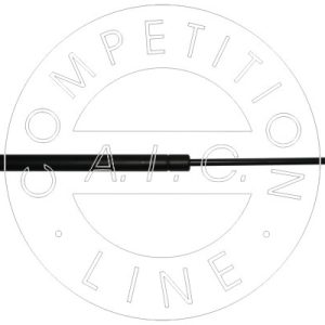 Amortizor portbagaj AIC 53879 – VW | AutoRival