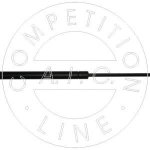 Amortizor portbagaj AIC 53880 – VW | AutoRival