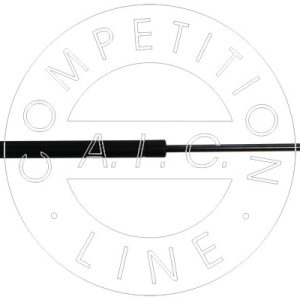 Amortizor portbagaj AIC 53894 – VW | AutoRival