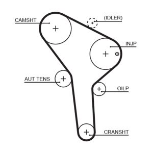 Curea de distributie GATES 5564XS – VW | AutoRival