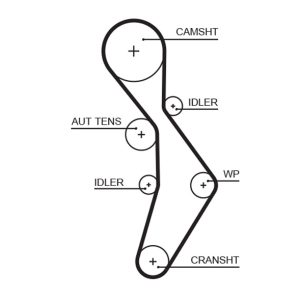 Curea de distributie GATES 5604XS – VW | AutoRival