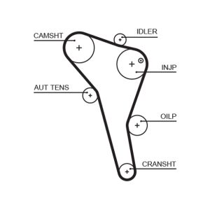 Curea de distributie GATES 5622XS – VW | AutoRival