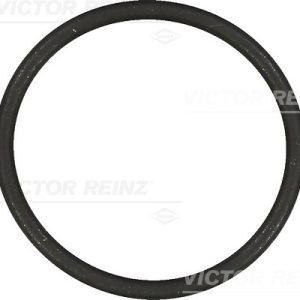 Garnitura galerie admisie VICTOR REINZ 40-76854-00 – VW | AutoRival