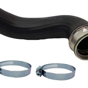 Furtun aer supraalimentare BUGIAD 81924 – VW | AutoRival