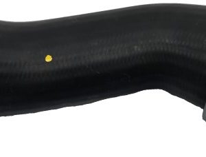 Furtun aer supraalimentare BUGIAD 82067 – VW | AutoRival