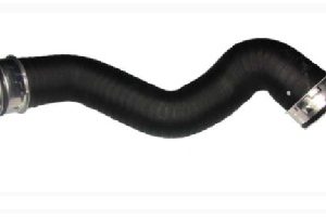 Furtun aer supraalimentare BUGIAD 82675Prokit – VW | AutoRival