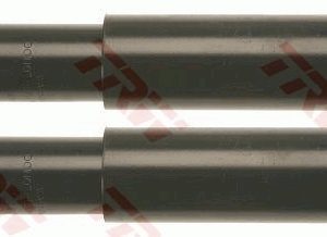 Amortizor TRW JGE1006T – VW | AutoRival