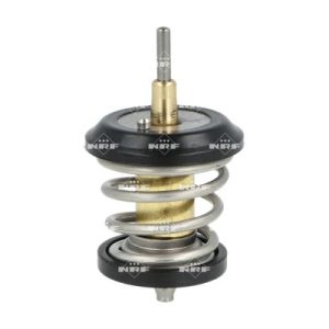 Termostat lichid racire NRF 725250 – VW | AutoRival