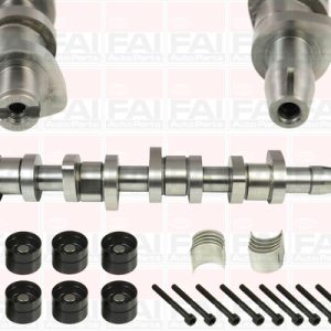 Set ax cu came FAI AUTOPARTS CSK248C – VW | AutoRival
