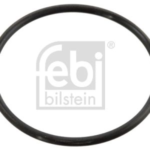 Garnitura termostat FEBI BILSTEIN 10258 – VW | AutoRival