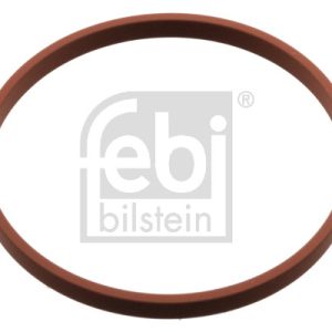 Inel De Etansare stut clapeta de acceleratie FEBI BILSTEIN 103785 – VW | AutoRival
