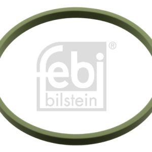 Inel De Etansare stut clapeta de acceleratie FEBI BILSTEIN 107960 – VW | AutoRival