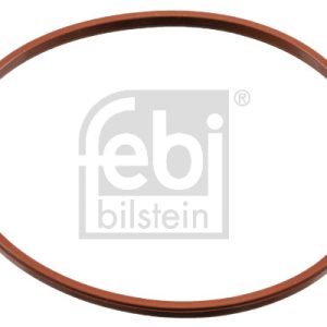 Inel De Etansare stut clapeta de acceleratie FEBI BILSTEIN 180016 – VW | AutoRival