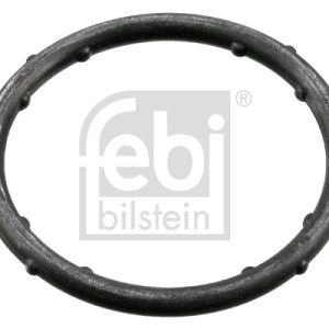 Garnitura flansa lichid racire FEBI BILSTEIN 18766 – VW | AutoRival