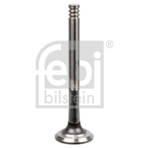 Supapa evacuare FEBI BILSTEIN 21008 – VW | AutoRival